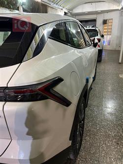 جيتور داشينج